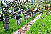 Waruga Friedhof