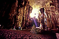 Gomantong Caves