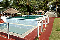 Swimmingpool im Apo Reef Club