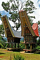 Traditionelle Häuser in der Toraja