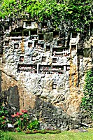 Hängende Gräber von Lemo in der Toraja