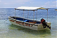 SeaQuest Bohol