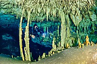 Cenote Dreamgate