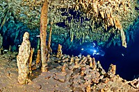 Cenote Dreamgate